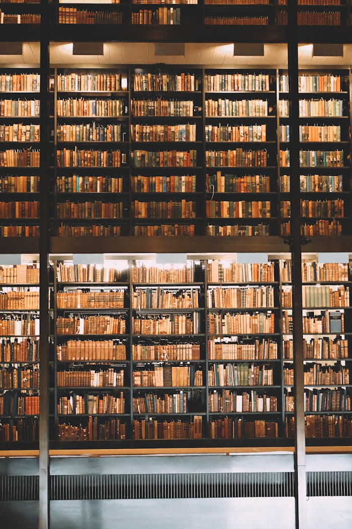 A towering bookshelf in a library filled with a vast collection of books, offering a sense of abundance.